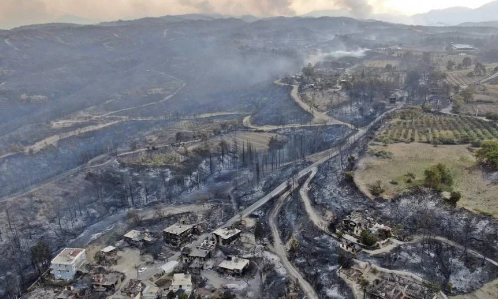 Αναδασώσεις στα καμμένα τους με drones θα κάνουν οι Τούρκοι